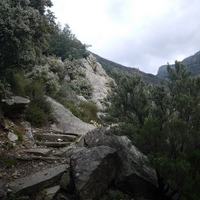 Photo de france - La randonnée du Mont Caroux